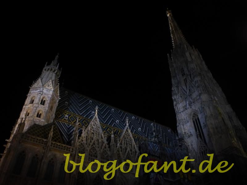 Wien - Walzer, Mozart und Co. am Ufer der Donau 15 StephansdomWienNacht