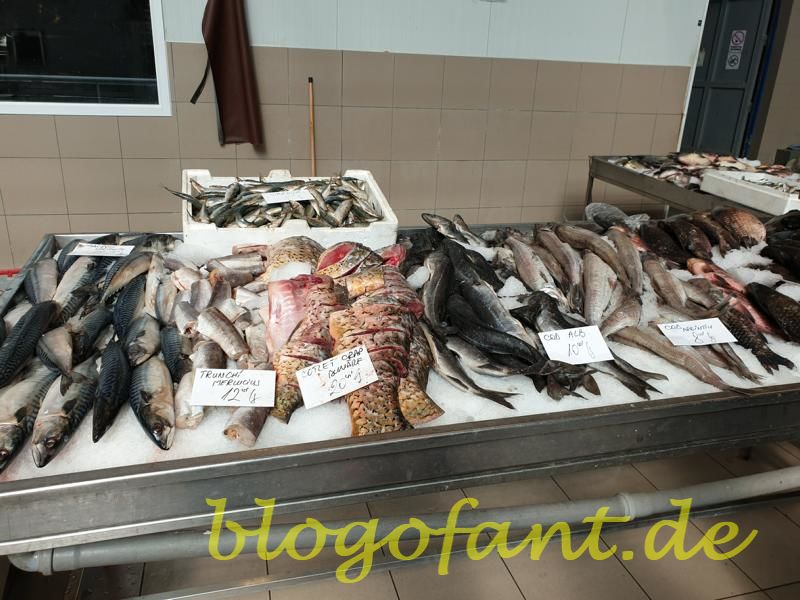 Bukarest - Rumäniens Hauptstadt im Überblick 71 Bukarest Markt Fisch