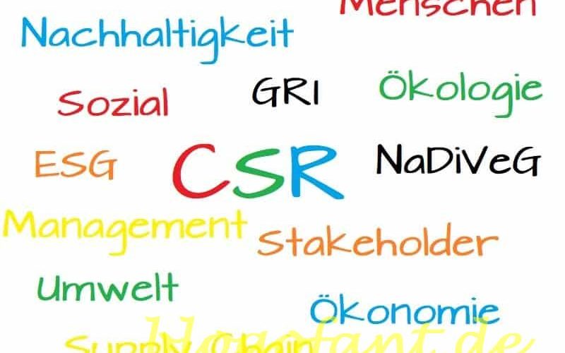 CSR als Managementansatz 1 CSR