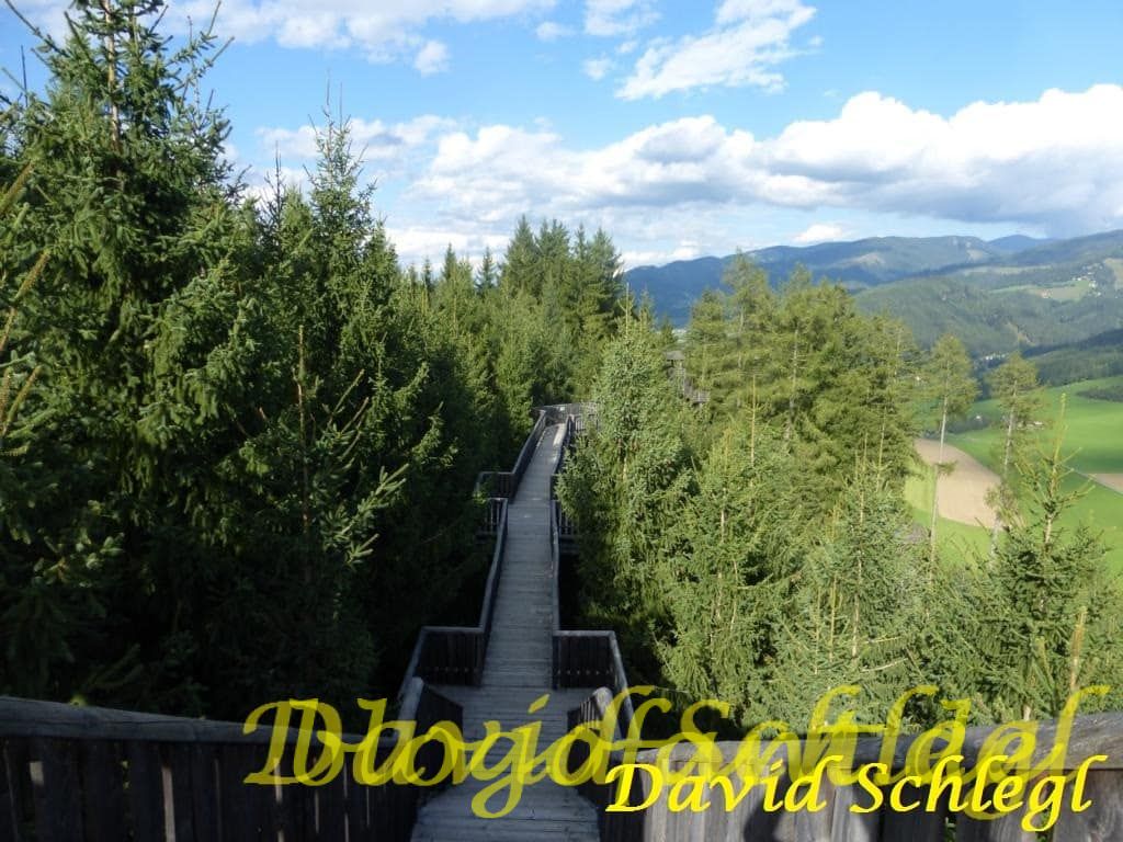 Der Wipfelwanderweg - Wandern über den Wipfeln von Rachau im Murtal 45 Rachau Wipfelwanderweg