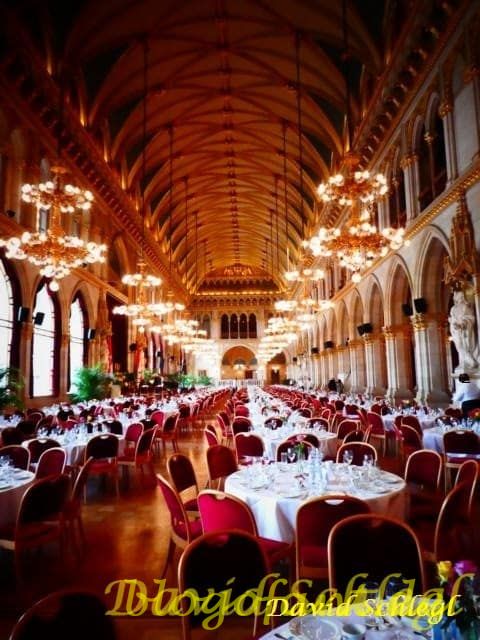 Kostenlose Führung Im Wiener Rathaus - Blogofant - Elefantisch Gut!