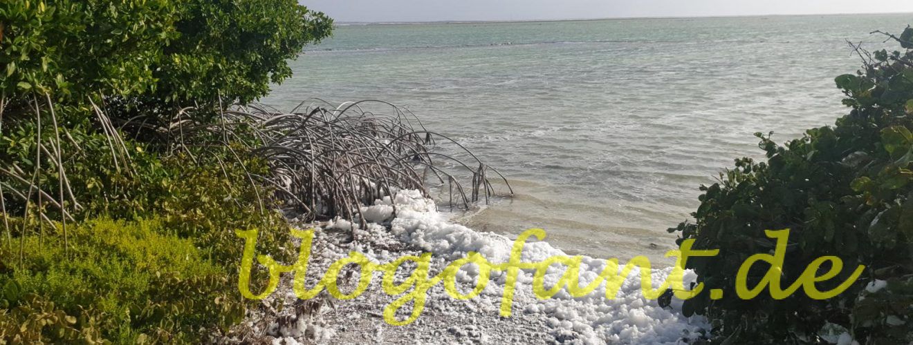 Bonaire - eine Südkaribische Insel 1 Bonaire
