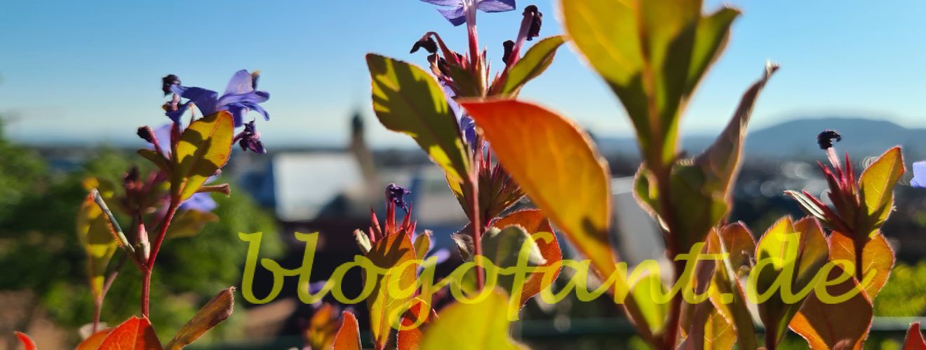 Regionaler Klimabonus im Details 1 20210924 164035