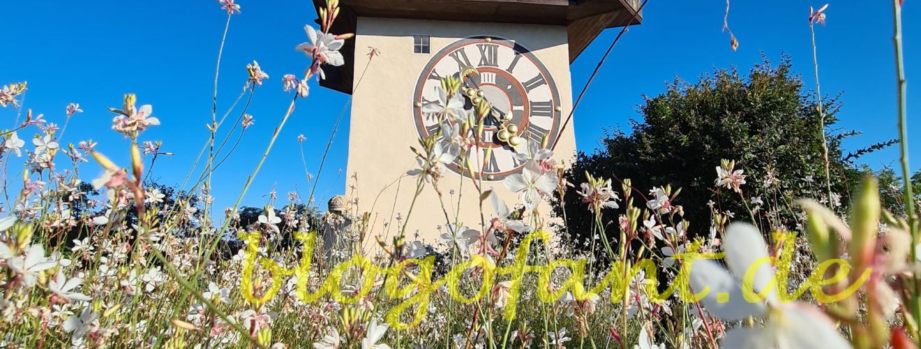 Die schönsten Aussichten auf Graz: Top Dachterrassen und Aussichtspunkte 11 Grazer Schloßberg mit Uhrturm und Blumen im Herbst, Uhrturm Graz, Blumen in Graz, Herbst in Graz, Graz - 8 Highlights und Sehenswürdigkeiten