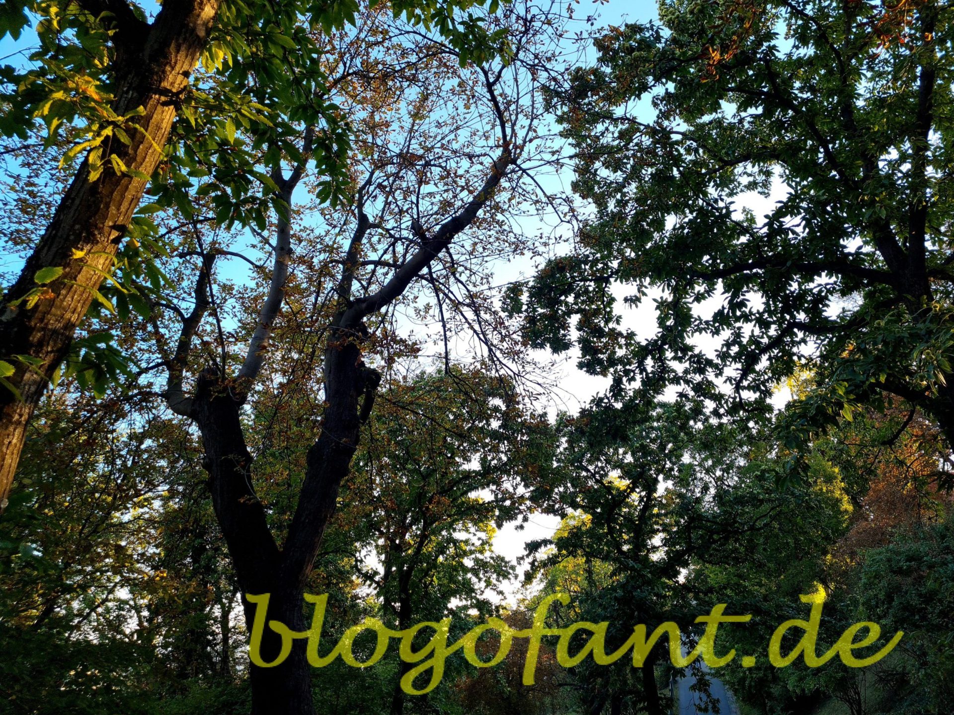 Grazer Schloßberg im Herbst 83 20210924 174357 scaled