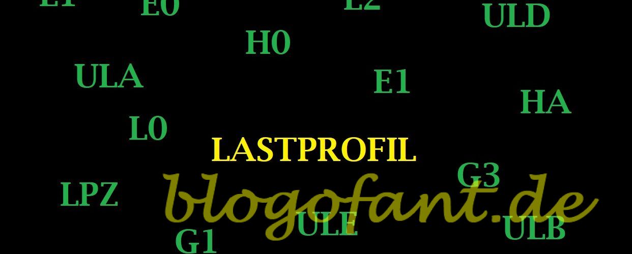 Lastprofil & standardisiertes Lastprofil 1 Lastprofil