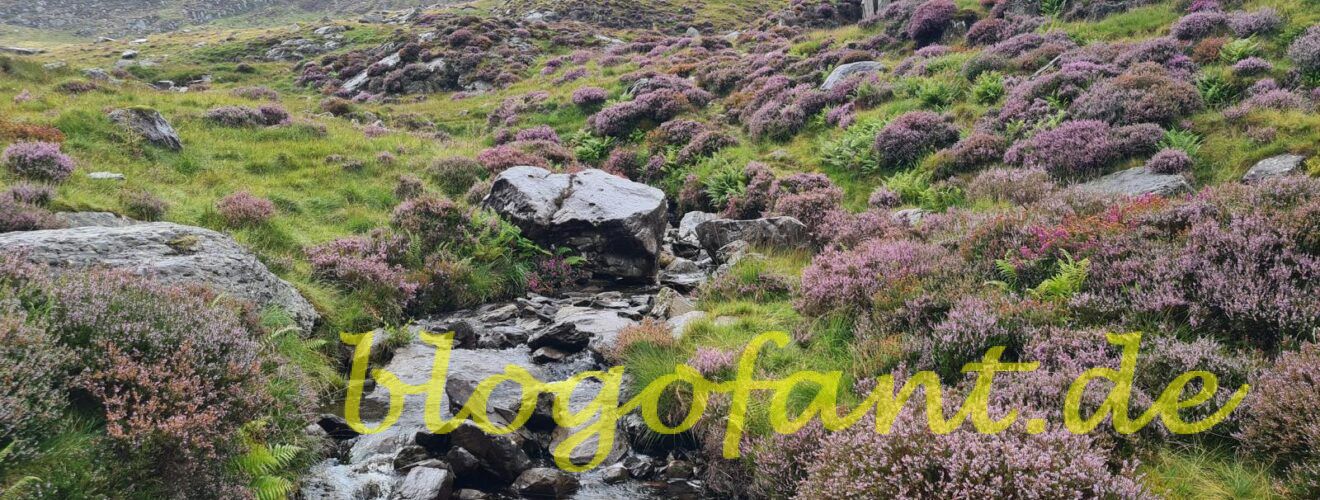 Snowdonia und das Ogwen Valley 17 K1600 20230813 103135